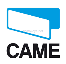 CAME 119RIE121 : Зубчатый ремень с замком V0685 V0687 (запчасти VER)